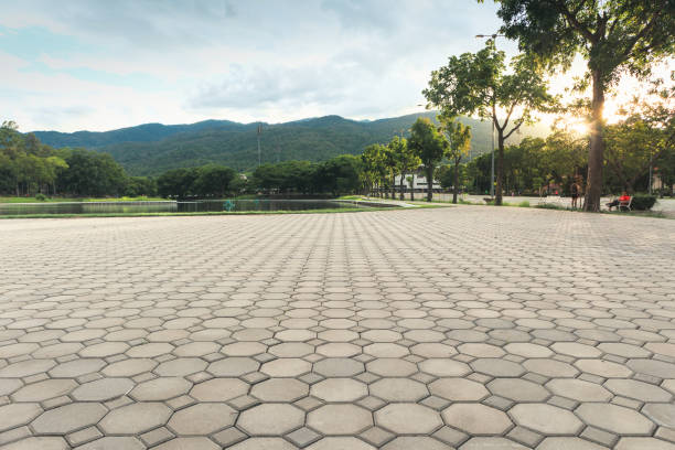 Best Custom Driveway Pavers  in Burlington, WA